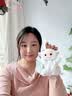 维尼小象安抚豆袋玩偶背包挂件钥匙扣小羊公仔毛绒玩具520送女朋友礼物 实拍图
