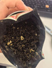 乐品乐茶茉莉花茶茶叶特级川派横县飘雪浓香绿茶新茶袋装250g自己喝送礼袋 实拍图