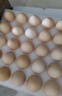京鲜生【供港品质】【每日鲜蛋】无抗谷物鸡蛋30枚3.78斤当日产蛋当日发 实拍图
