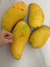 京鲜生 海南金煌芒果 2斤装 单果约300g 约2-3个 生鲜水果 实拍图