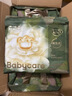 babycare金山茶花拉拉裤XL34片(12-17kg)婴儿尿不湿超薄透气新生柔花苞裤 实拍图