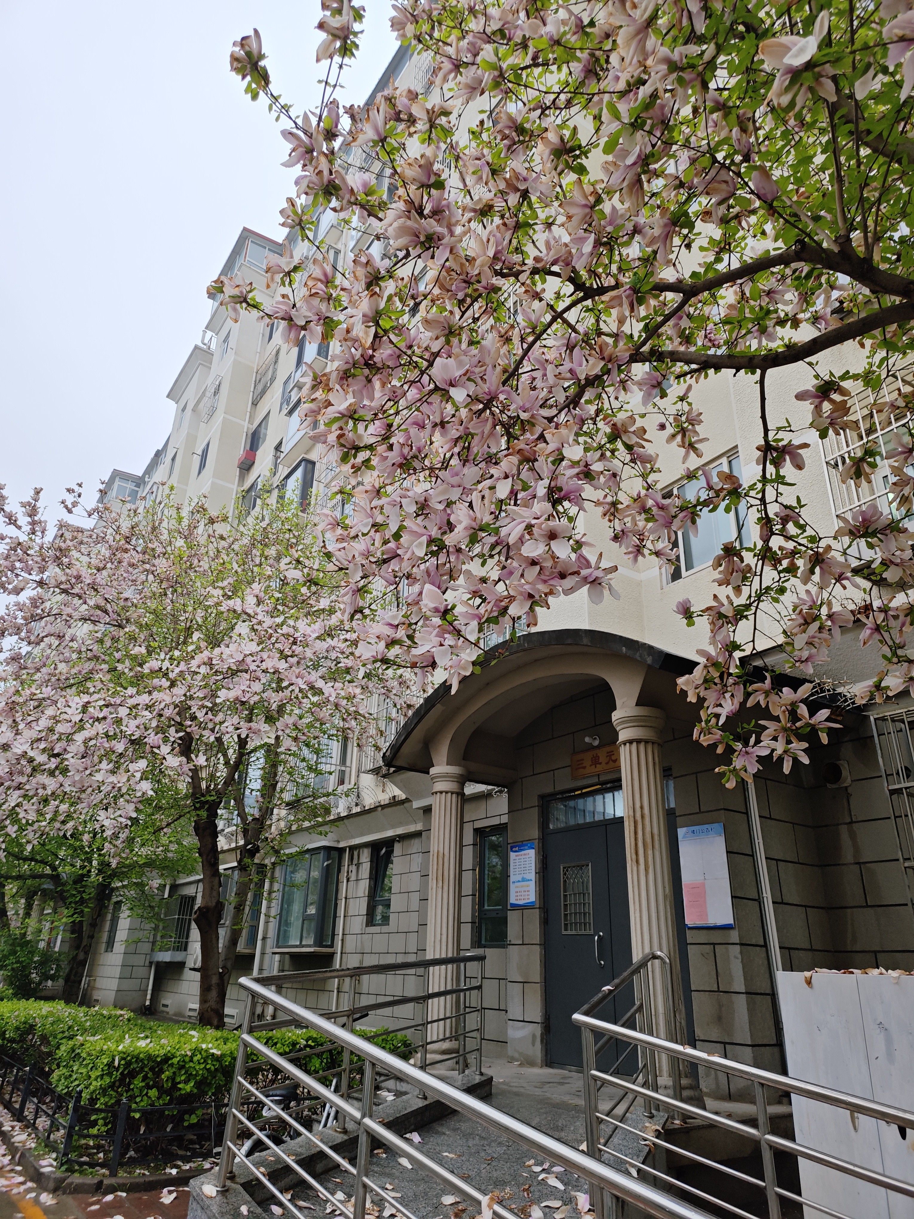 纳有风316不锈钢勺子高颜值吃饭家用加深加厚汤匙调羹汤勺西瓜勺 316钢深勺-本色 实拍图