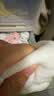 贝瑞加（Babyprints）【不含甲酰胺】训练裤男女宝宝尿布婴儿裤纯棉防水可洗戒尿不湿 实拍图