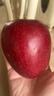 京鲜生 甘肃天水花牛苹果 又大又红 净重10斤 单果200g以上 生鲜水果 实拍图