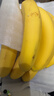 佳农 进口大把香蕉净重2.4斤 家庭装 生鲜水果 源头直发 包邮 实拍图
