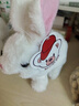 威尔通（WELTSTON）毛绒公仔跳舞布娃娃玩偶玩具儿童生日礼物礼品女生电动宠物小白兔 实拍图
