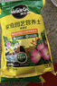 美乐棵 通用营养土养花花肥种植土花土肥料种菜土盆栽绿植专用土壤8L 实拍图