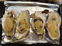 鲜京采 鲜活生蚝5XL 净重5斤 9-12只 鲜活到家 海鲜 源头直发 实拍图