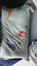水星儿童（MERCURY Kids）幼儿园全棉抗菌对枕套(湖水绿/远古龙)30cm×50cm 婴幼儿A类 实拍图