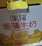 伊利味可滋香蕉牛奶240ml*12盒整箱 营养早餐搭档 礼盒装 2月产 实拍图