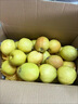 京鲜生 新疆库尔勒香梨 4.5斤装 特级 单果120g+ 生鲜水果 实拍图