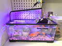 阔庭（KUOTING）鱼缸水族箱客厅桌面生态造景家用带灯制氧过滤鱼缸黑色【大号】 实拍图
