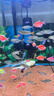 森森鱼缸变频加热棒适用300-400L离水断电水族箱加热器 ARK-800款800W 实拍图