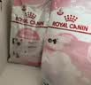 皇家幼猫猫粮 幼猫奶糕 K36 通用粮 4-12月 2KG 实拍图