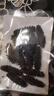 海晏堂 大连淡干海参 50g 12-18只 辽刺参 海参干货海鲜年货滋补礼盒 实拍图