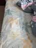 水星家纺床单单件纯棉100%全棉床罩床上用品加大双人1.8x2米床 实拍图