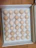 1号会员店叶黄素可生食标准鲜鸡蛋 30枚 单枚55g 源头直发 实拍图
