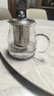 金灶（KAMJOVE）泡茶壶飘逸杯 耐热玻璃茶具功夫办公室花茶壶 茶水分离杯茶壶家用 A-02 500ml 实拍图