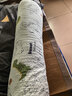 洁丽雅抱枕长条枕女生睡觉大枕头可拆洗孕妇床上夹腿圆柱抱枕1.1m小恐龙 实拍图