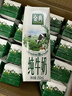 伊利【新鲜日期】金典纯牛奶早餐奶250ml*16 3.6g乳蛋白 礼盒装 2-3月 实拍图