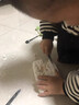 贝贝家趣味玩具恐龙化石考古挖掘二年级学生手工DIY石膏可拼骨架模型 实拍图