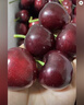 京鲜生大连美早樱桃车厘子 超级巨无霸4J级 2斤礼盒装 单果15g+生鲜水果 实拍图