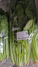 大菠菜300g 实拍图