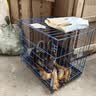蒂瑞科纯种德牧幼犬弓背黑背德国牧羊犬活体大型狼狗猎犬宠物狗 宠物级 实拍图