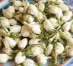 优卓胖东来同款茉莉花干花2026特一级新茶横县特级浓香型花茶理气安神 【特优级茉莉花】饱满花苞 100g*5罐 舒缓情绪辅助提神醒脑 实拍图