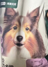网易严选犬粮 全价冻干三拼鸡肉狗粮幼犬成犬小型中大型犬通用金毛 2kg 实拍图