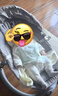 太空虎摇摇椅电动摇椅婴儿用品哄娃神器婴儿摇摇椅婴儿宝宝摇摇椅 太空灰【电动+遥控+蓝牙+蚊帐】 实拍图