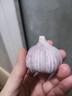 紫白皮蒜水果大蒜超市即食生鲜蔬菜大蒜 【优选】净重0.8斤 单果3.5-5cm 实拍图