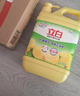 立白清新柠檬洗洁精大桶1.5kg 除味去油腥餐具净洗涤灵洗碗液随机发货 实拍图