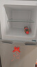 新飞 （Frestec）118L两门分区存储迷你环保节能省电小巧机身冰箱 BCD-118L2D 实拍图