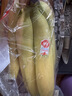 佳农 超甜香蕉800g 实拍图