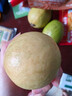 京鲜生 广东树熟奶油红心芭乐 净重2.5斤单果130g+番石榴源头直发包邮 实拍图