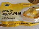 三都港 洄游季带籽黄花鱼净重1.1kg/条 大黄鱼 海鱼 生鲜鱼类 海鲜水产 实拍图