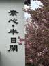 冰希黎（Boitown）汽车车载香薰淡香出风口除味空气清新车内香薰 车载摆件香片礼物 青柠白茶-柑橘凋【含2香薰片】 实拍图