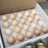 1号会员店（One's Member）叶黄素可生食标准鲜鸡蛋 20枚 单枚55g 源头直发 实拍图