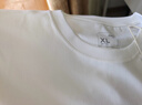京东京造50支液氨抗皱男士t恤男短袖男款纯棉打底衫内搭春季衣服 白色 M 实拍图