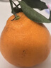 京鲜生 四川春见耙耙柑 净重4.5-5斤 单果210g+ 水果礼盒 源头直发包邮 实拍图