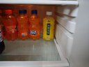 康师傅 冰糖雪梨330ml*12瓶 梨汁饮料饮品轻巧装整箱 热门商品 实拍图