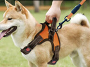 磊嘉狗绳狗链 柯基牵引绳防爆冲胸背带牵引绳中大型小型犬遛狗绳柴犬 亮橙胸背带1个配狗绳1根 M（建议18-38斤） 实拍图