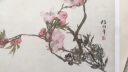 中国好丹青·大师册页精品复制·任伯年 花卉篇（加印版01） 实拍图