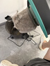 美菱家用吸尘器大功率超强吸力工业装修美缝开荒车用商用酒店仓库地毯强力吸尘机 实拍图