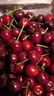 山姆大叔车厘子美早樱桃【JD-多地次日达】大连4J级大樱桃水果礼盒装端午 3斤(净重) 【超值装-80%选】爽吃礼盒 【黑钻级｜鲜甜爆汁】3J 巨无霸 30-32mm 实拍图