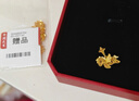 周大生【生日礼物】黄金项链爆闪碎碎冰吊坠本命年生肖马送女友 足金小飞马吊坠-【赠银链】 2.32g 实拍图