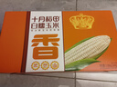 十月稻田 白甜糯玉米 8根 4.16斤 东北鲜黏玉米棒 低脂早餐苞米 杂粮礼盒 实拍图