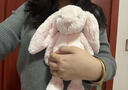 Jellycat害羞乳白色邦尼兔动物毛绒玩偶安抚玩偶娃娃送礼520礼物 害羞粉色邦尼兔 Medium 实拍图