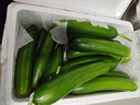 京鲜生 山东荷兰水果黄瓜 净4.5斤 单果70g+ 健康轻食早餐蔬菜 源头直发 实拍图